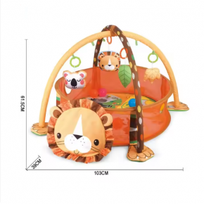 infant activity fitness gym